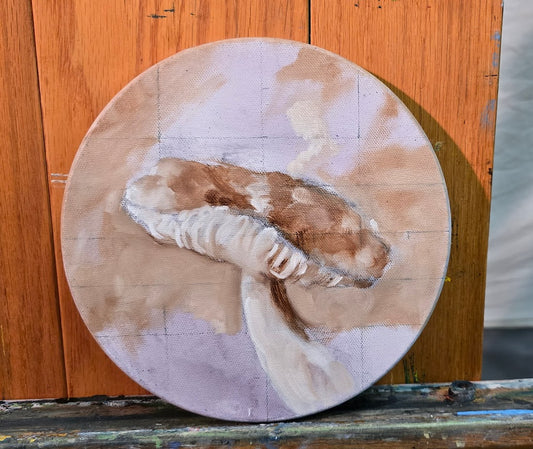 Russula OIl Study